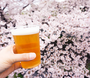 花見とビール